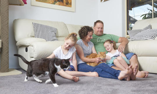 A family of four seating down in their living room with two cats.