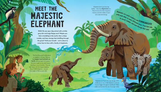 "Meet the Majestic Elephant" - illustrated spread containing four elephants and five factual paragraphs.
