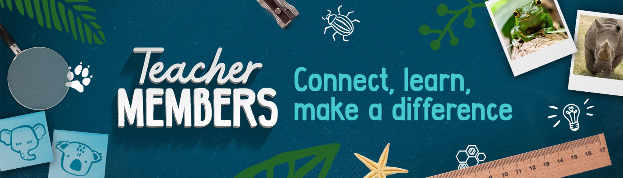 "Teacher Membership, Connect, learn, make a difference": The text is surrounded by a sharpener, illustrated Beetle, photos of a Frog and Rhino, ruler, Starfish, sticky notes with an Elephant and Koala, and a magnifying glass, all against a teal blue surface.