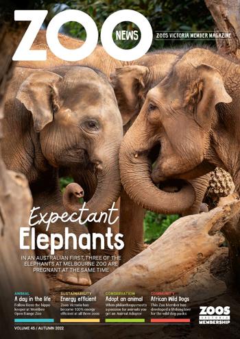 Cover of Zoo News 2022 Autumn