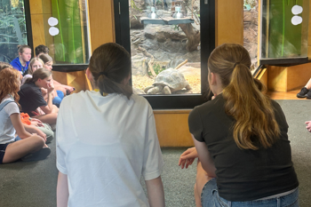 Eleven young guests sit around a Giant Tortoise in their indoor enclosure.