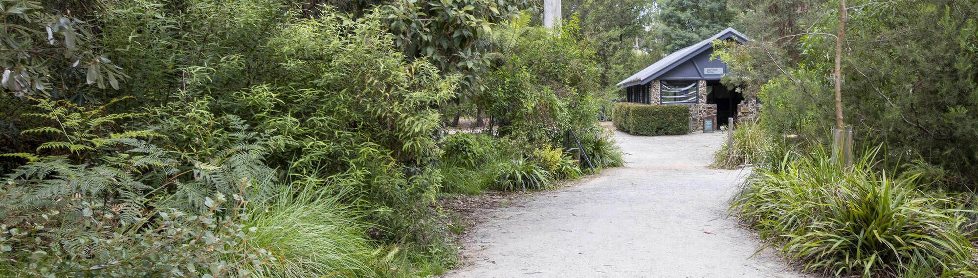 Walking track surrounded by green native bushes with a undercover pavilion in the background