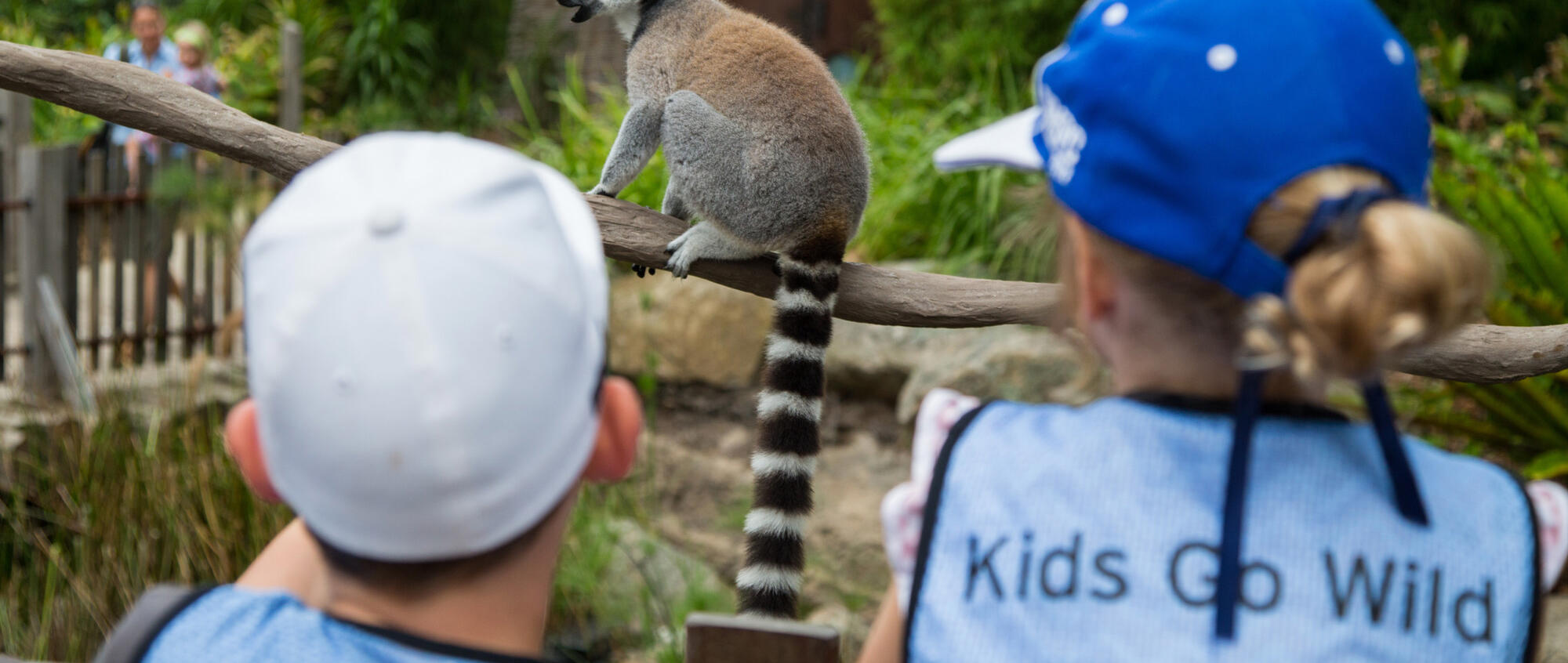 A rear view of two young children's heads looking at a lemur. One of the children wears a light blue hat, while the other wears a dark blue hat with a vest that reads 'kids go wild' on it.